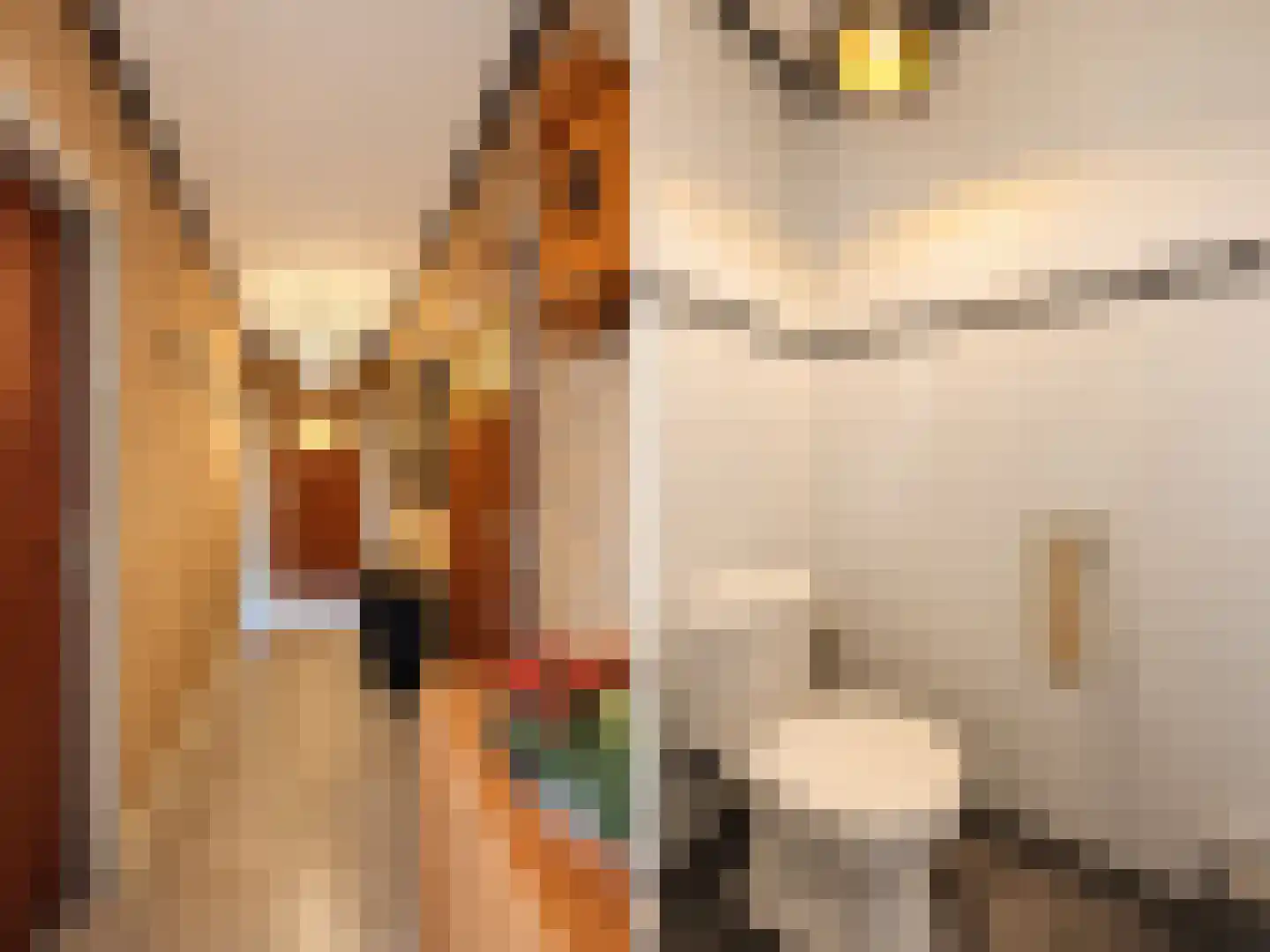 de Vlaanders 6 St. Willebrord thumbnail 20
