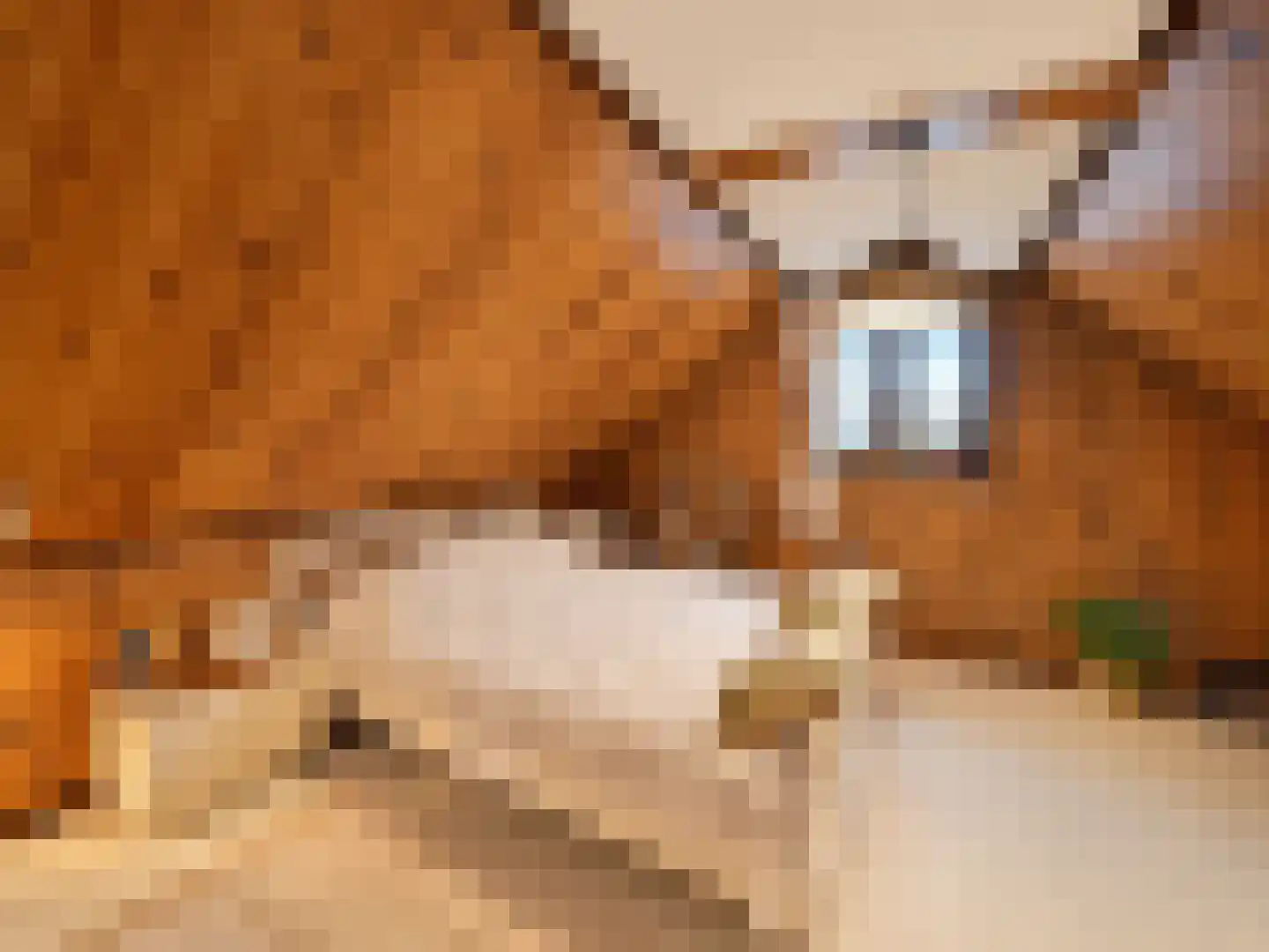 de Vlaanders 6 St. Willebrord thumbnail 21