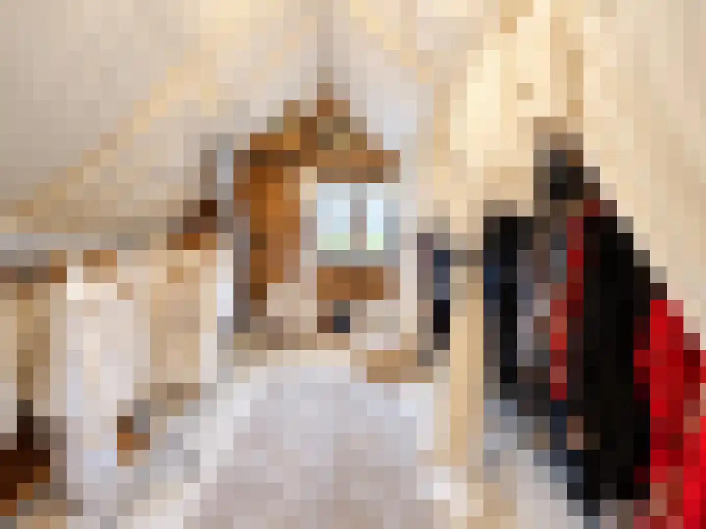 de Vlaanders 6 St. Willebrord thumbnail 25