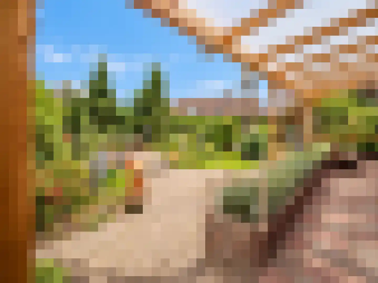 de Vlaanders 6 St. Willebrord thumbnail 26