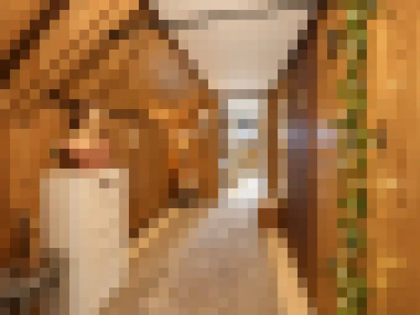 de Vlaanders 6 St. Willebrord thumbnail 27