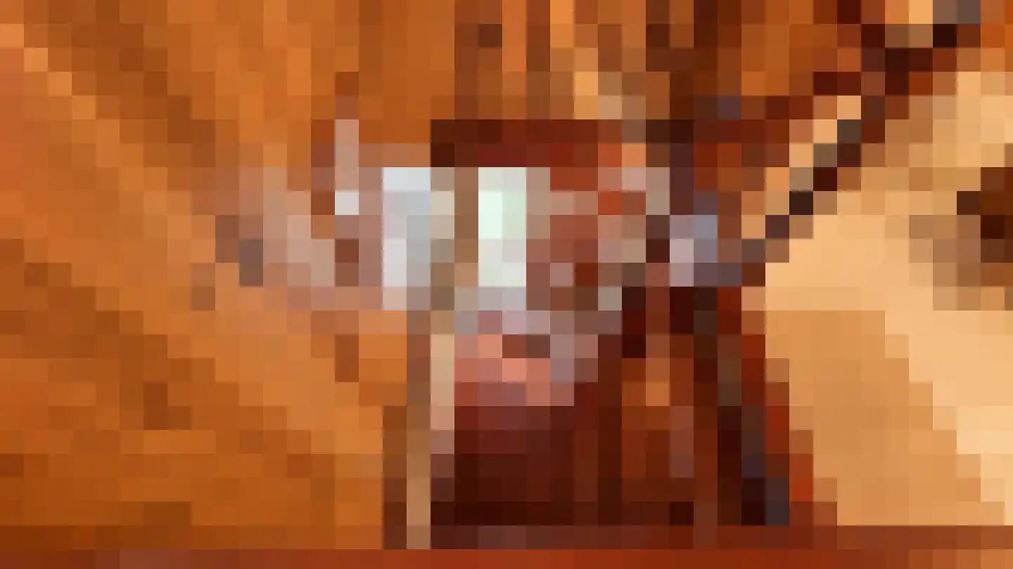 de Vlaanders 6 St. Willebrord thumbnail 29