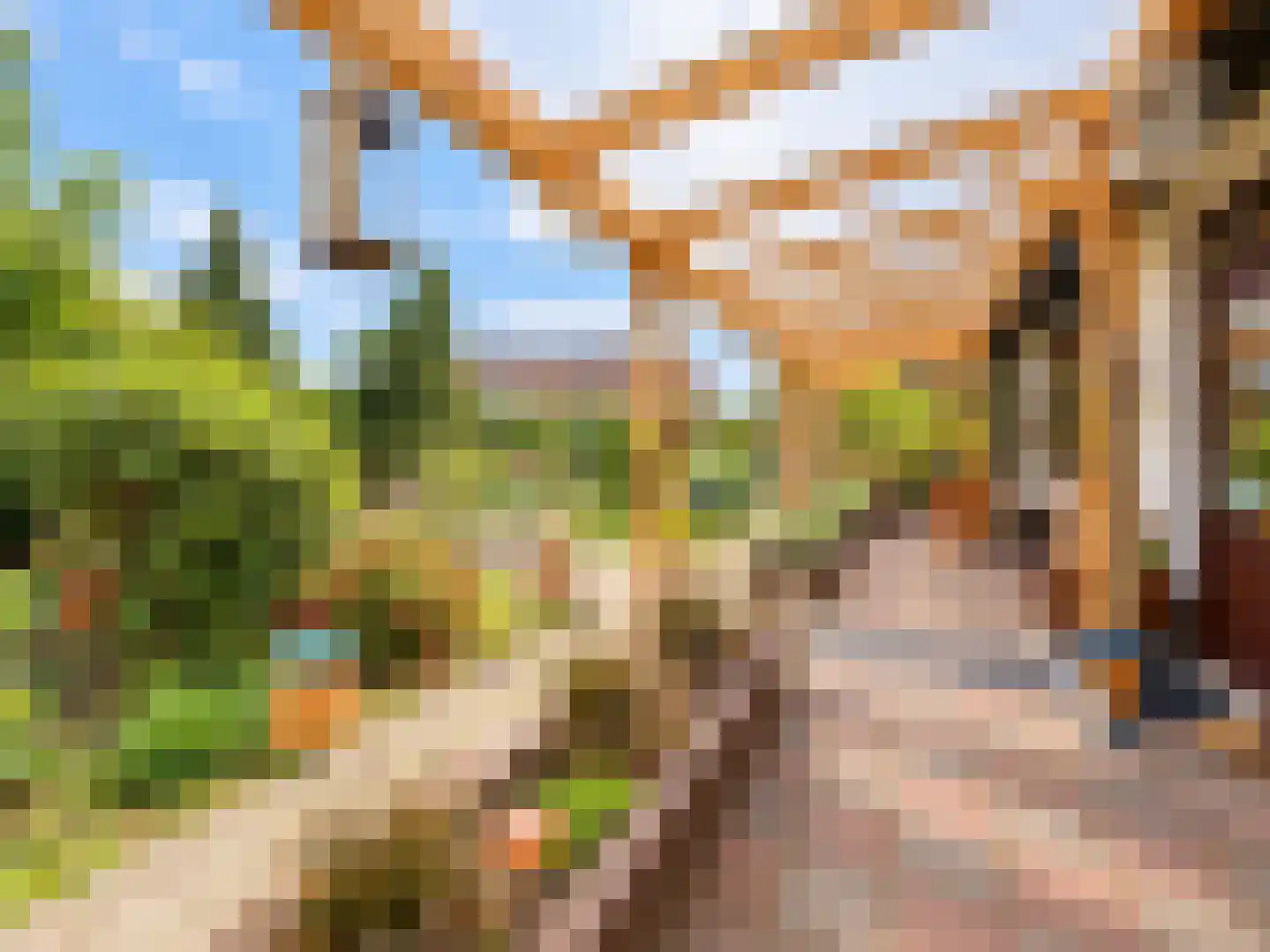 de Vlaanders 6 St. Willebrord thumbnail 34
