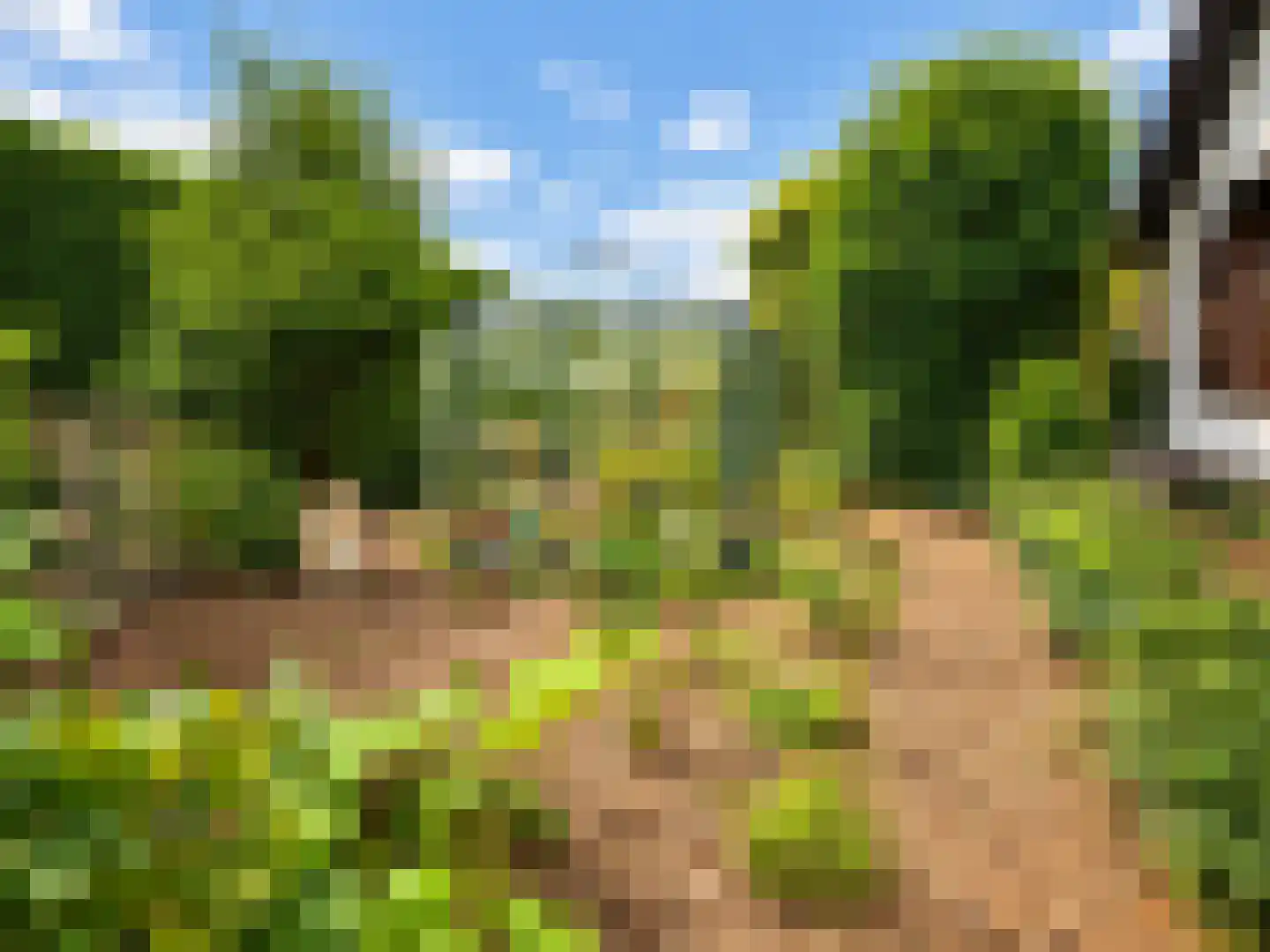 de Vlaanders 6 St. Willebrord thumbnail 35