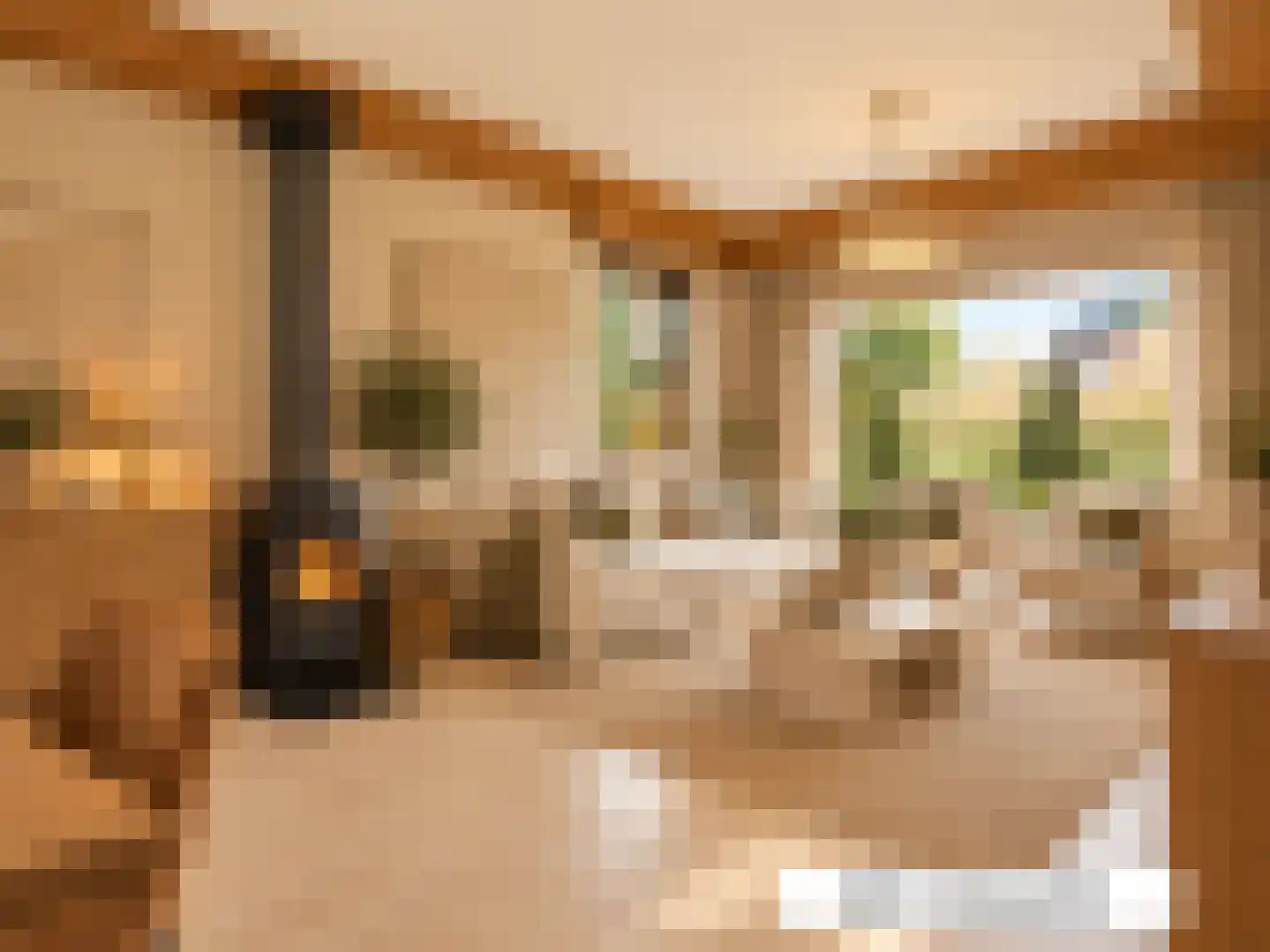de Vlaanders 6 St. Willebrord thumbnail 37