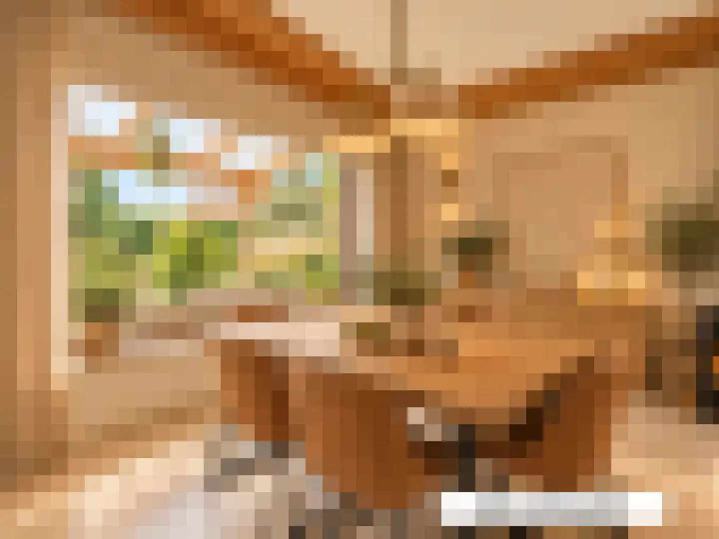 de Vlaanders 6 St. Willebrord thumbnail 38