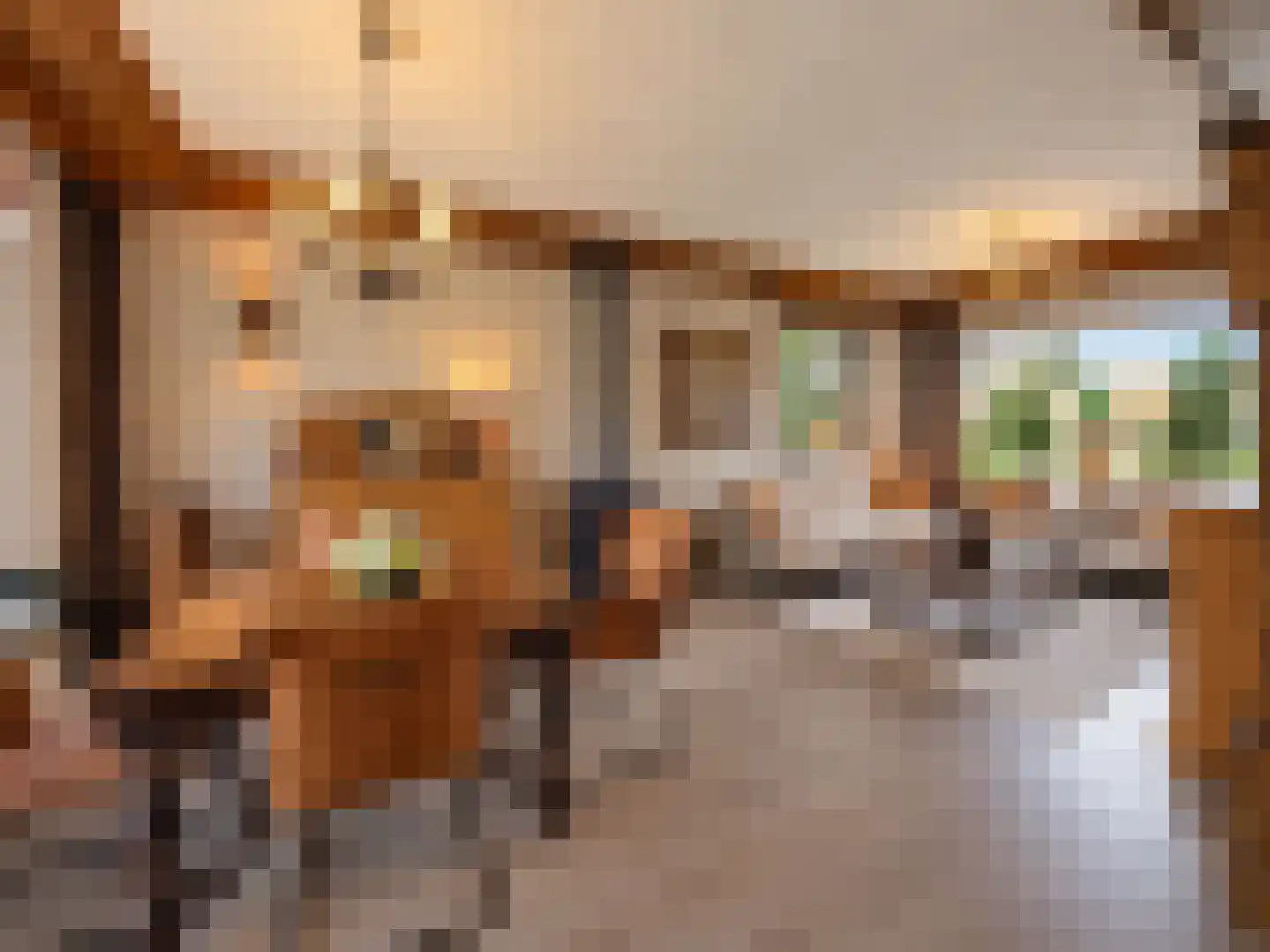 de Vlaanders 6 St. Willebrord thumbnail 5