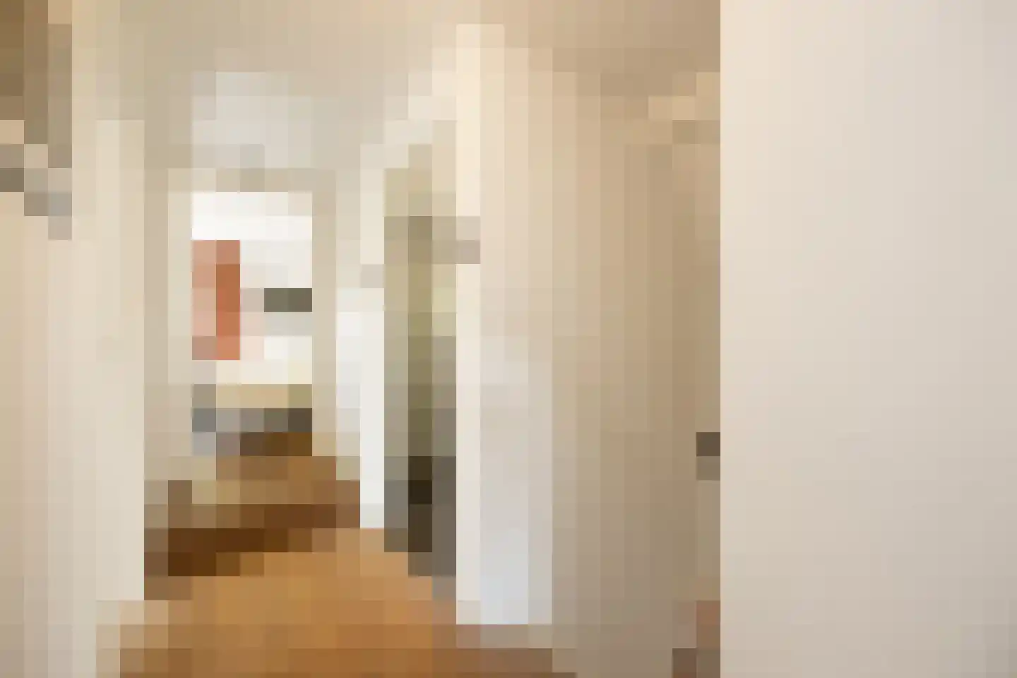De Vlacie 1 's-Hertogenbosch thumbnail 27