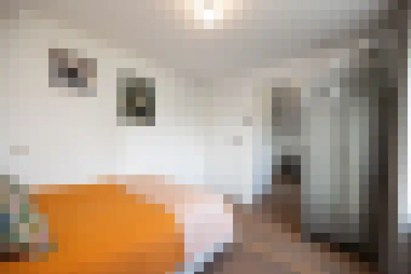 De Vlacie 1 's-Hertogenbosch thumbnail 32