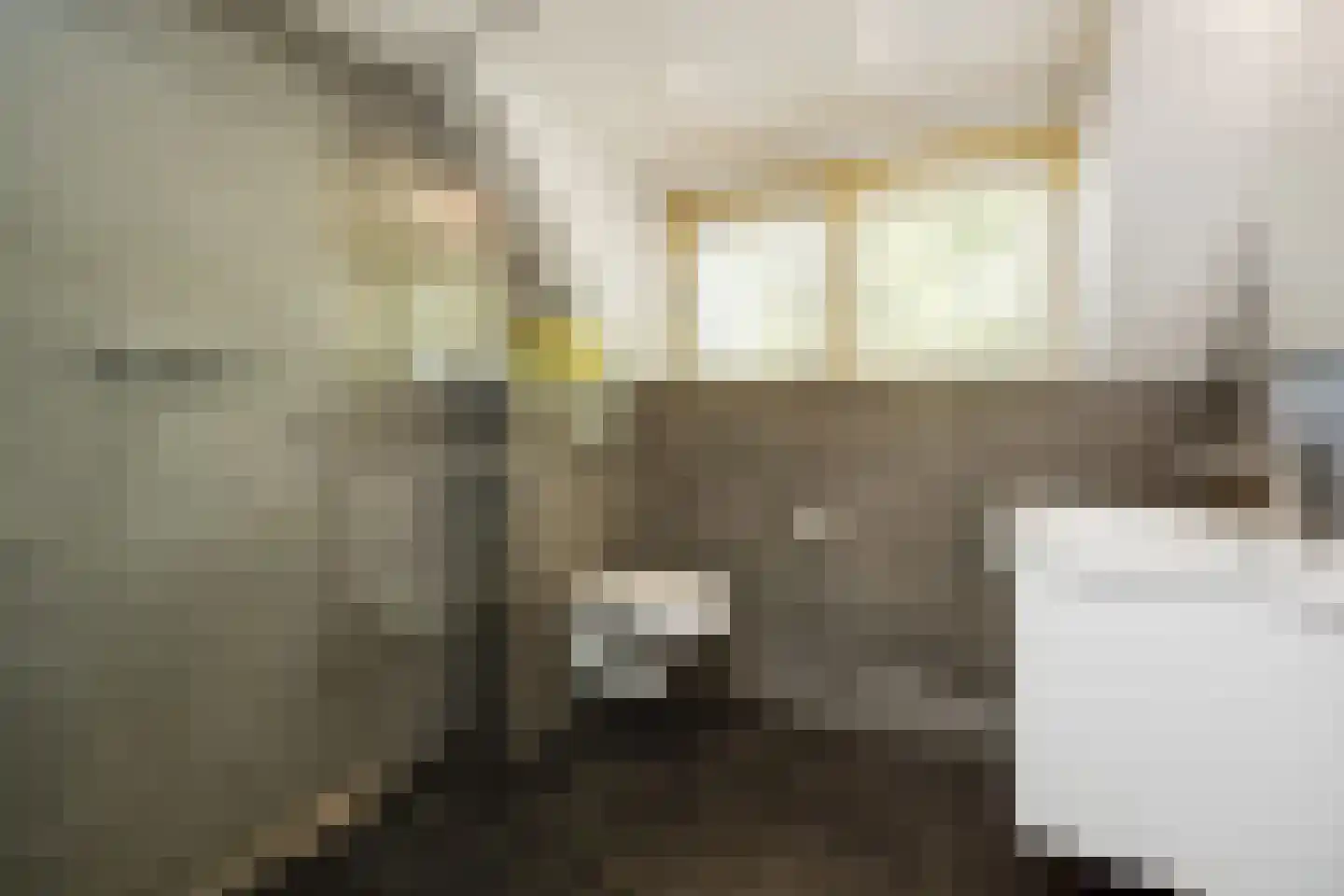 De Vlacie 1 's-Hertogenbosch thumbnail 35