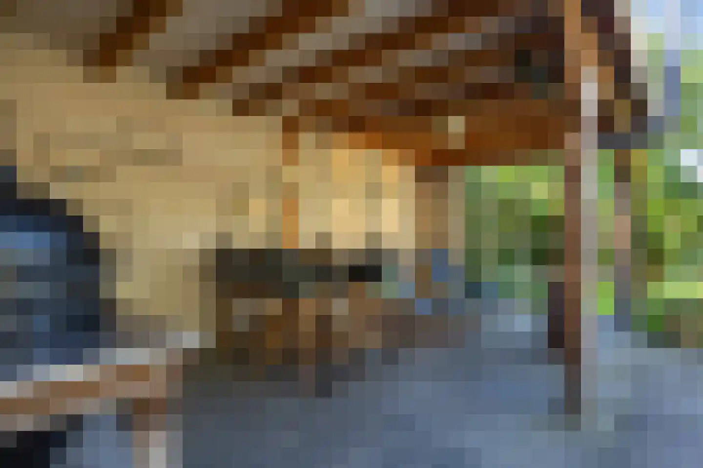De Vlacie 1 's-Hertogenbosch thumbnail 42