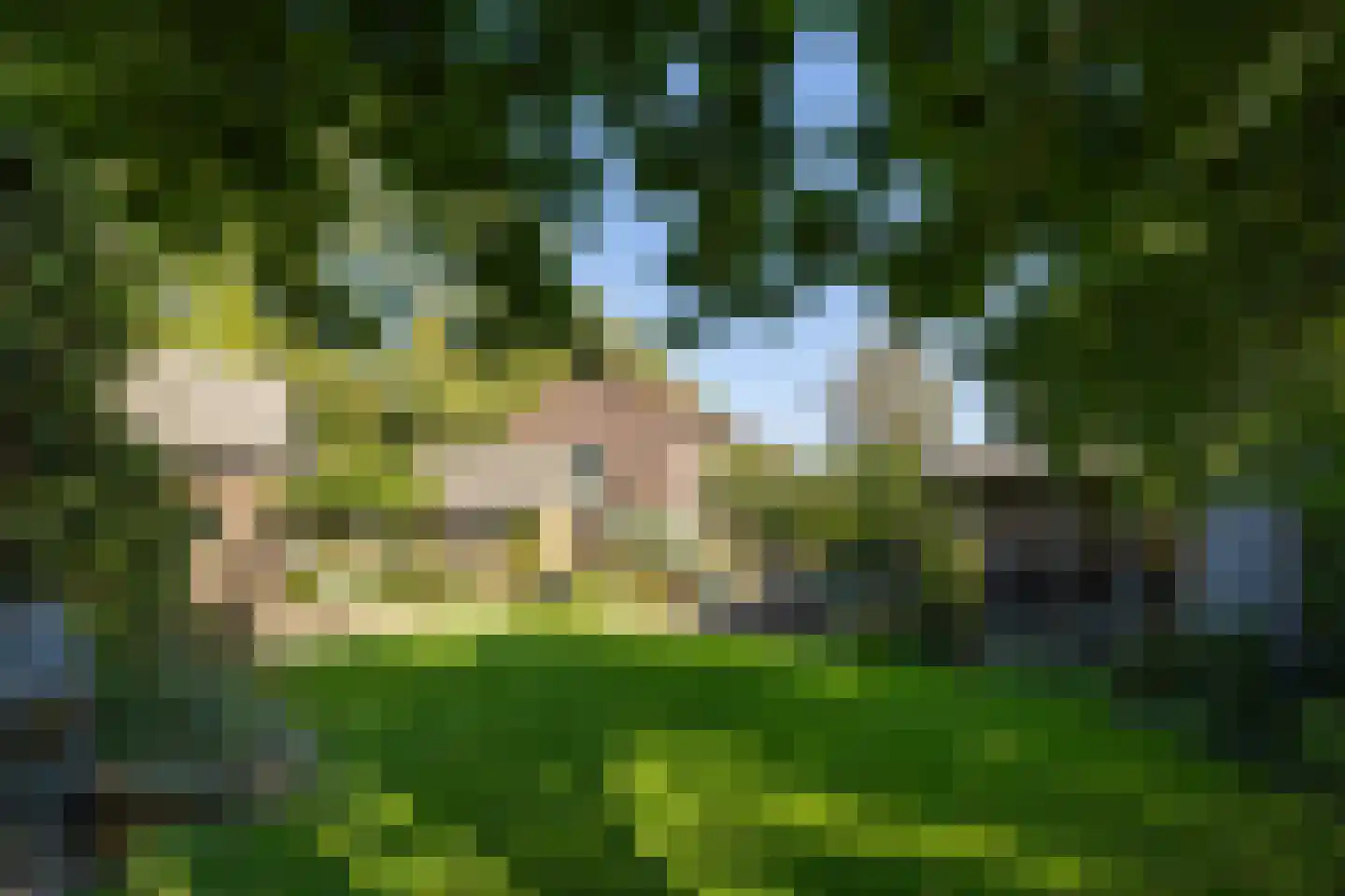De Vlacie 1 's-Hertogenbosch thumbnail 45