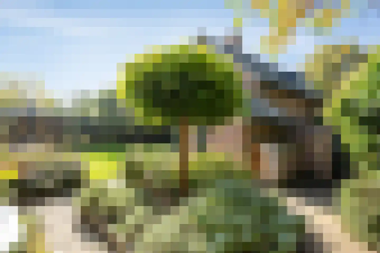De Vlacie 1 's-Hertogenbosch thumbnail 46
