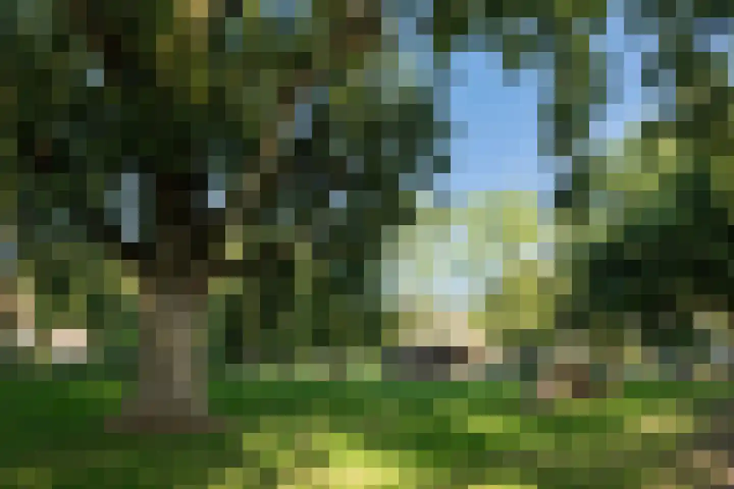 De Vlacie 1 's-Hertogenbosch thumbnail 50