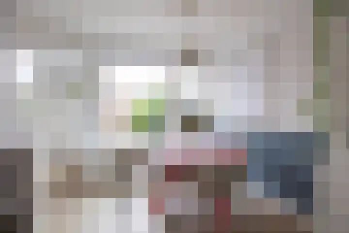 De Vlasakker 21 Bedum thumbnail 14