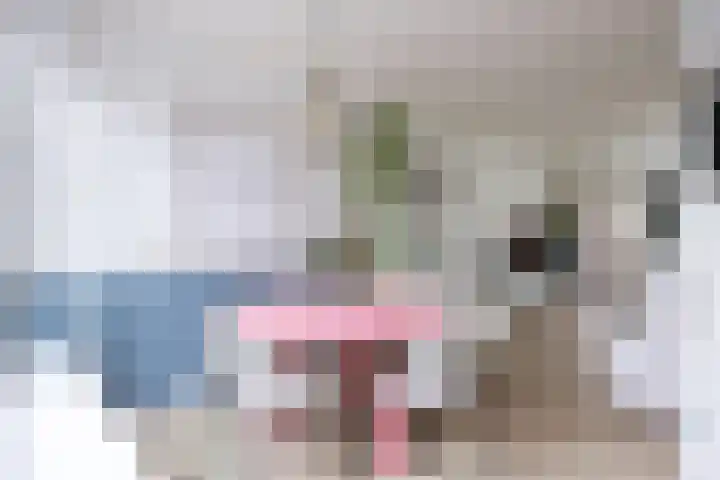 De Vlasakker 21 Bedum thumbnail 22