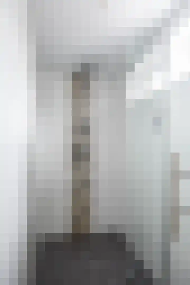 De Vlasakker 21 Bedum thumbnail 37