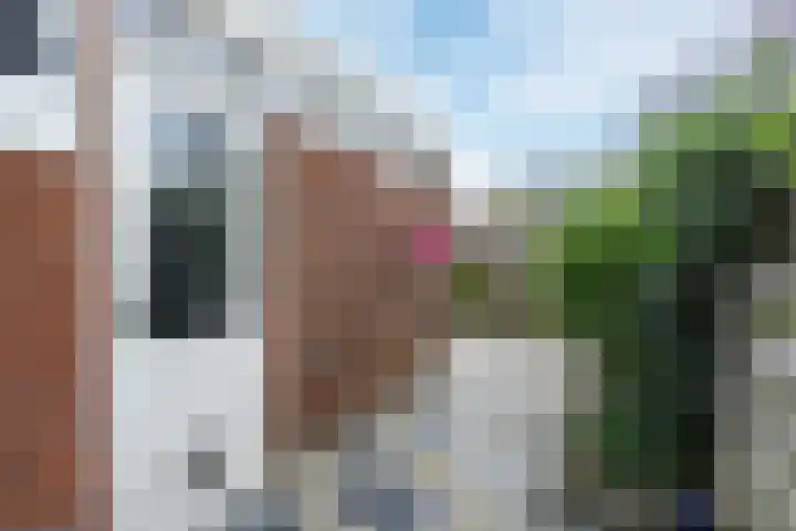 De Vlasakker 21 Bedum thumbnail 40