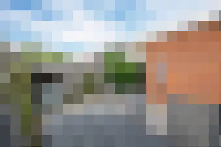 De Vlasakker 21 Bedum thumbnail 44