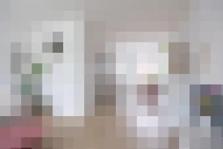 De Vlasakker 21 Bedum thumbnail 8
