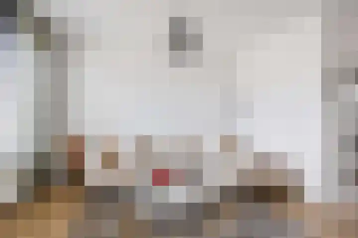 De Vlasakker 29 Bedum thumbnail 10