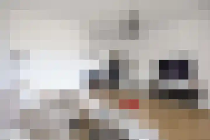 De Vlasakker 29 Bedum thumbnail 12
