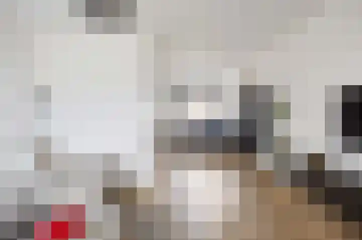 De Vlasakker 29 Bedum thumbnail 13