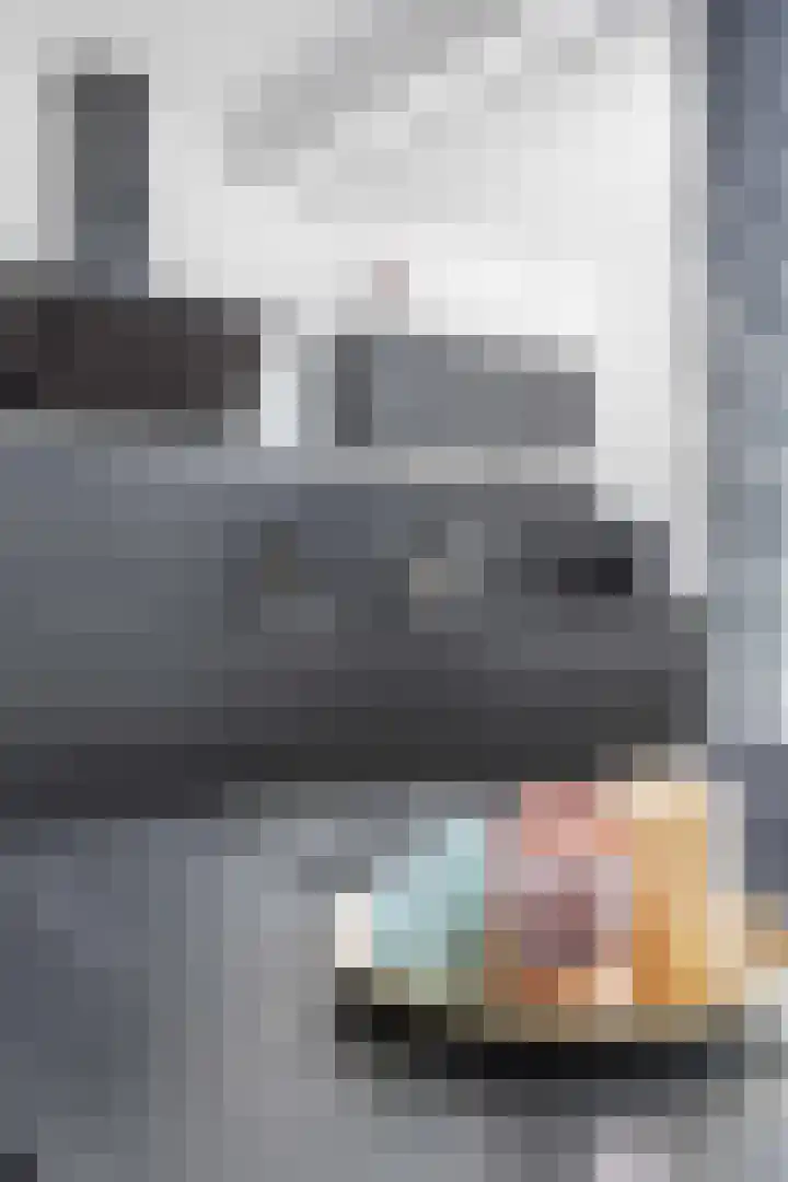 De Vlasakker 29 Bedum thumbnail 17