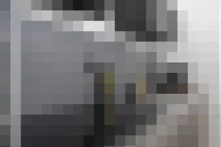 De Vlasakker 29 Bedum thumbnail 20