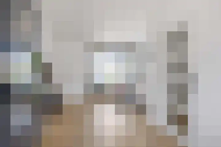 De Vlasakker 29 Bedum thumbnail 26
