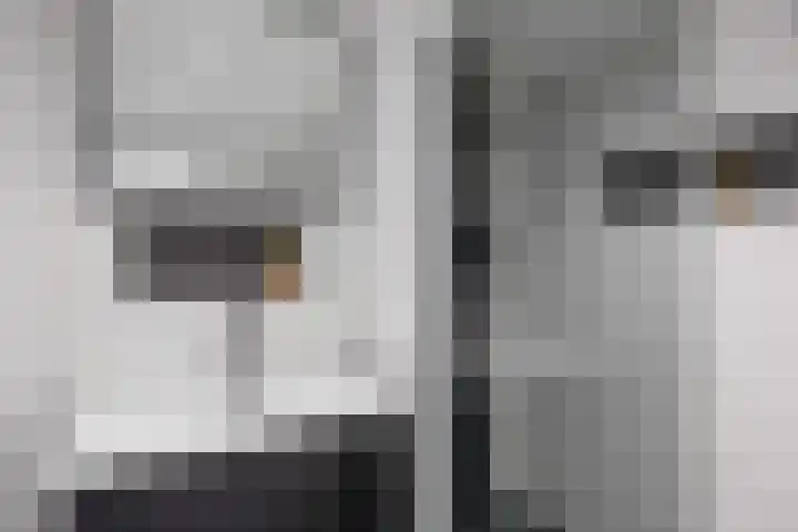 De Vlasakker 29 Bedum thumbnail 35