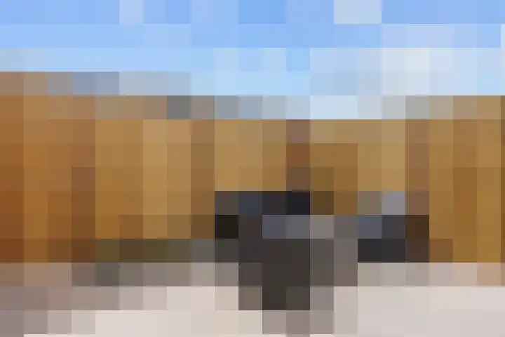 De Vlasakker 29 Bedum thumbnail 45