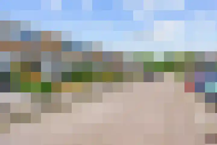 De Vlasakker 29 Bedum thumbnail 6