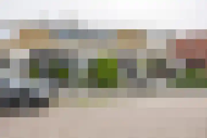 De Vlasakker 44 Bedum