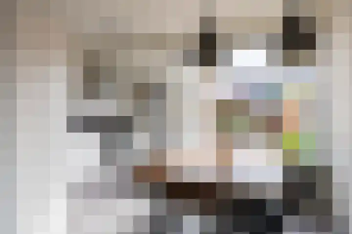 De Vlasakker 44 Bedum thumbnail 16