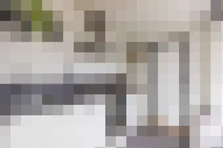 De Vlasakker 44 Bedum thumbnail 17