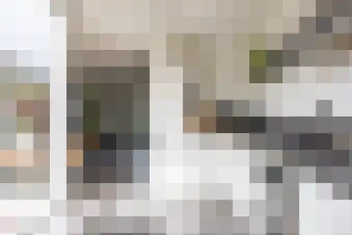 De Vlasakker 44 Bedum thumbnail 18