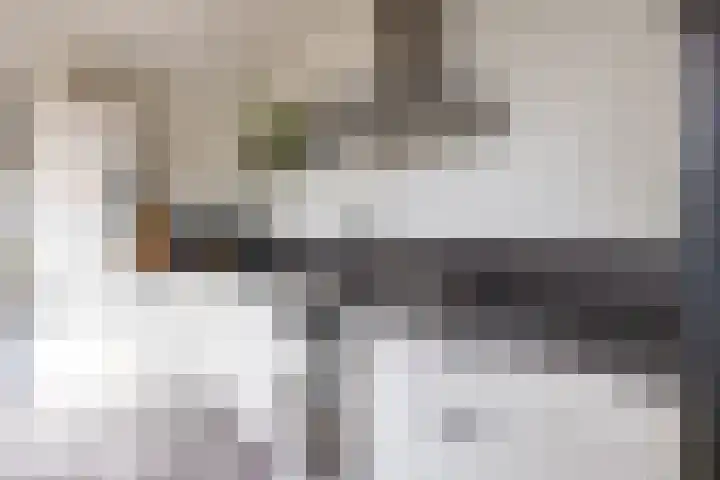 De Vlasakker 44 Bedum thumbnail 19