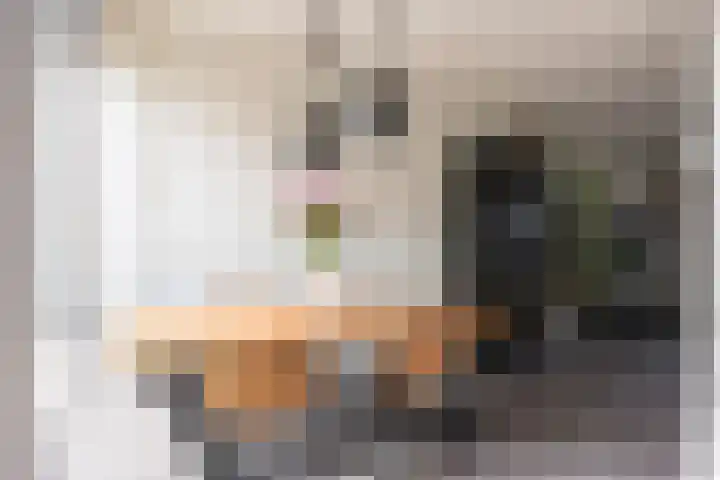 De Vlasakker 44 Bedum thumbnail 20