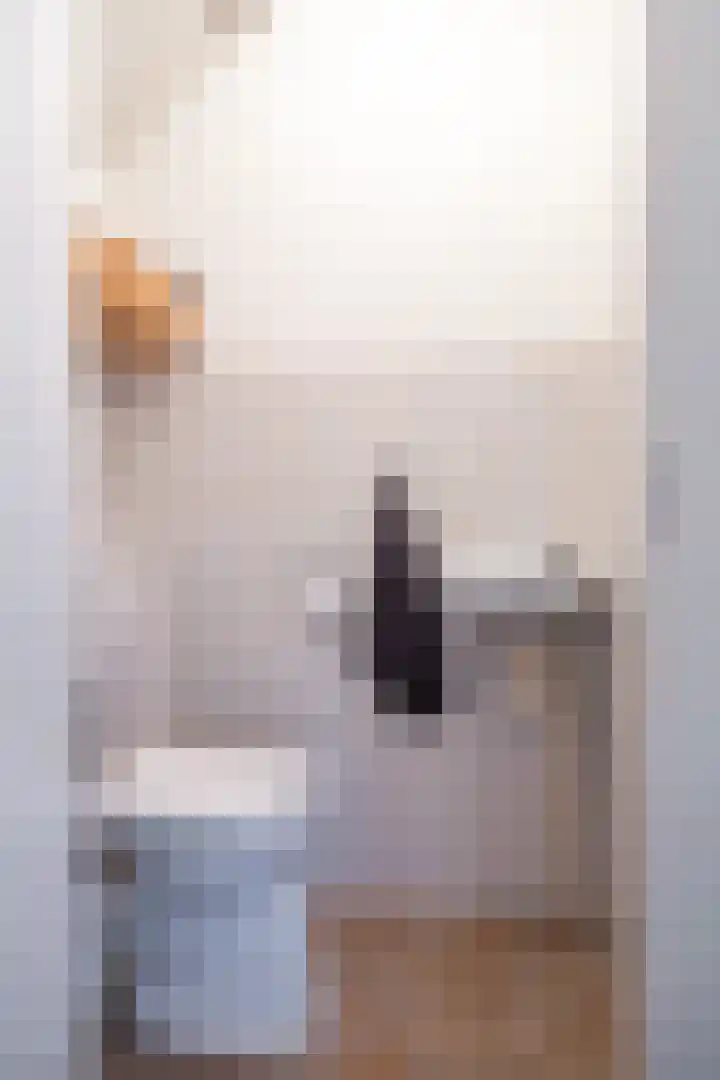 De Vlasakker 44 Bedum thumbnail 23