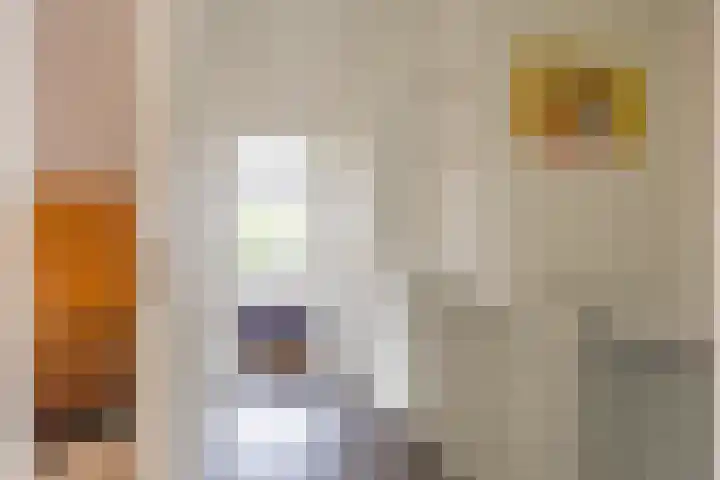 De Vlasakker 44 Bedum thumbnail 24