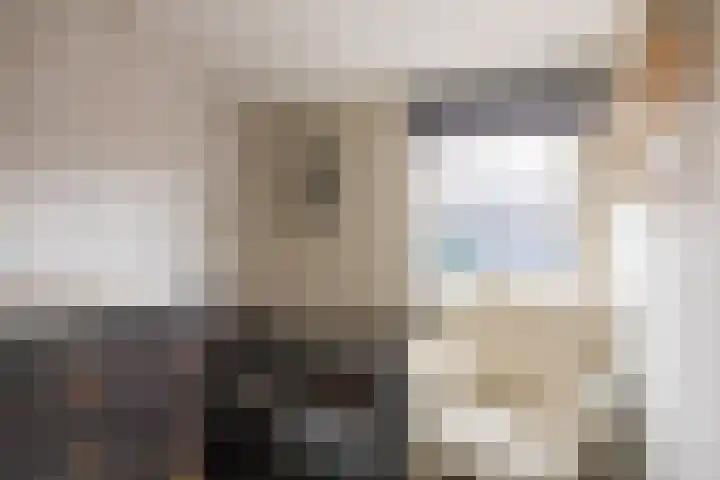 De Vlasakker 44 Bedum thumbnail 26