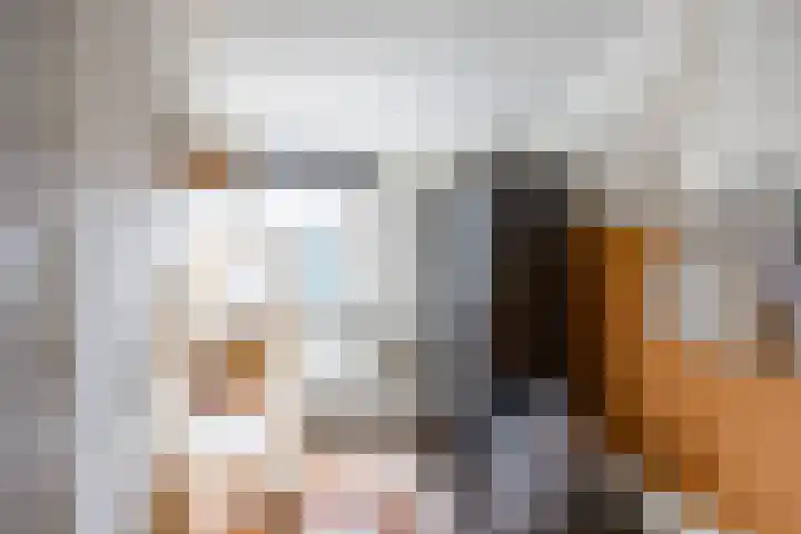 De Vlasakker 44 Bedum thumbnail 27