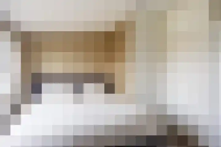De Vlasakker 44 Bedum thumbnail 34