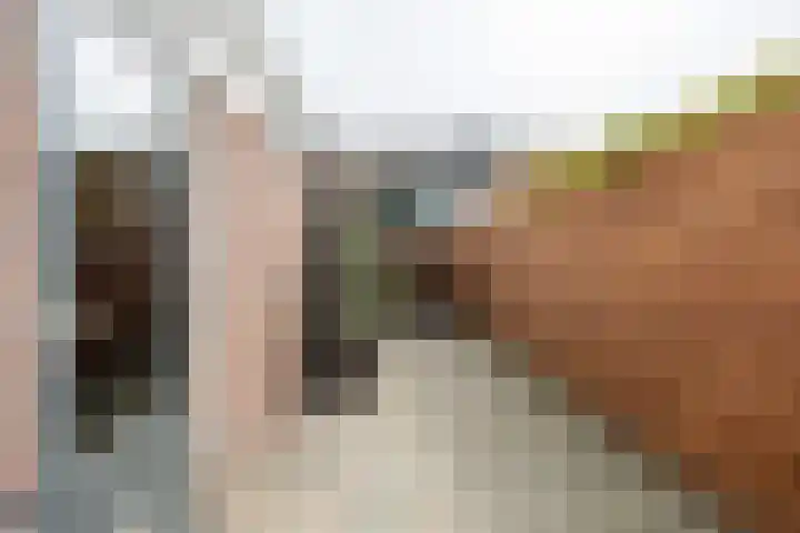 De Vlasakker 44 Bedum thumbnail 36