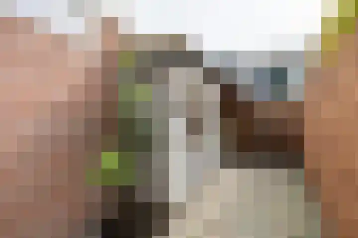 De Vlasakker 44 Bedum thumbnail 37