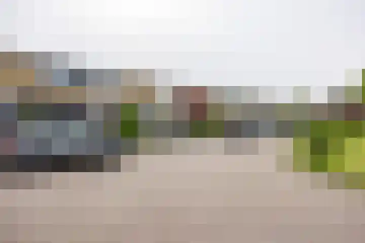 De Vlasakker 44 Bedum thumbnail 4