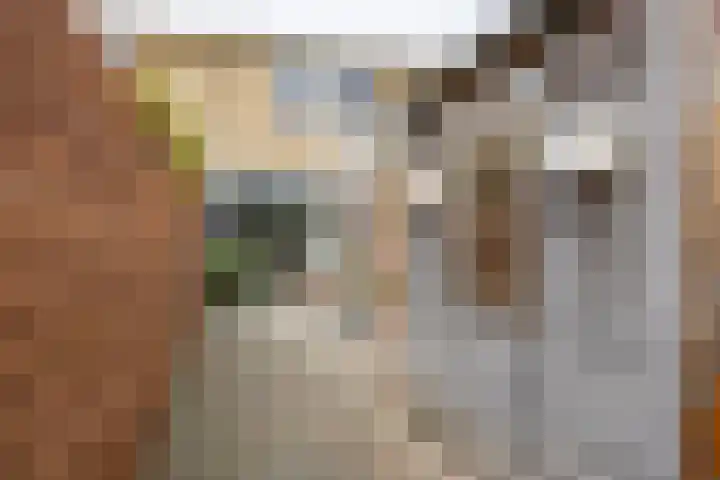 De Vlasakker 44 Bedum thumbnail 41