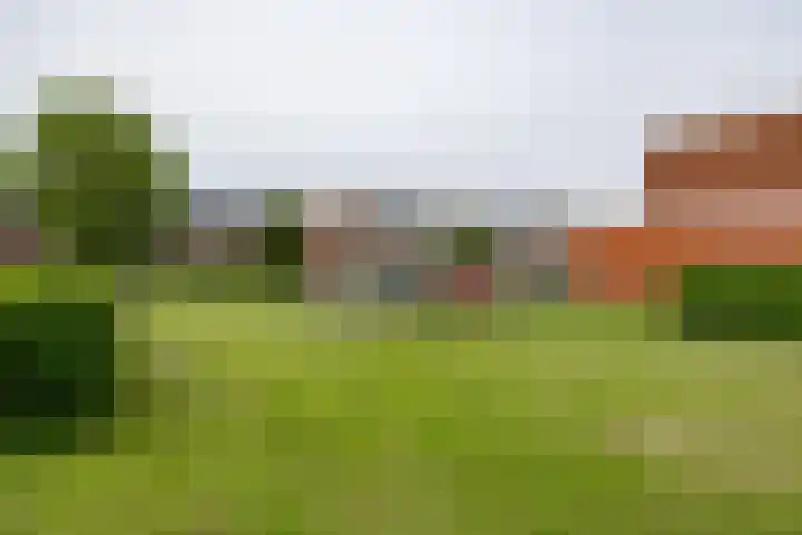 De Vlasakker 44 Bedum thumbnail 5
