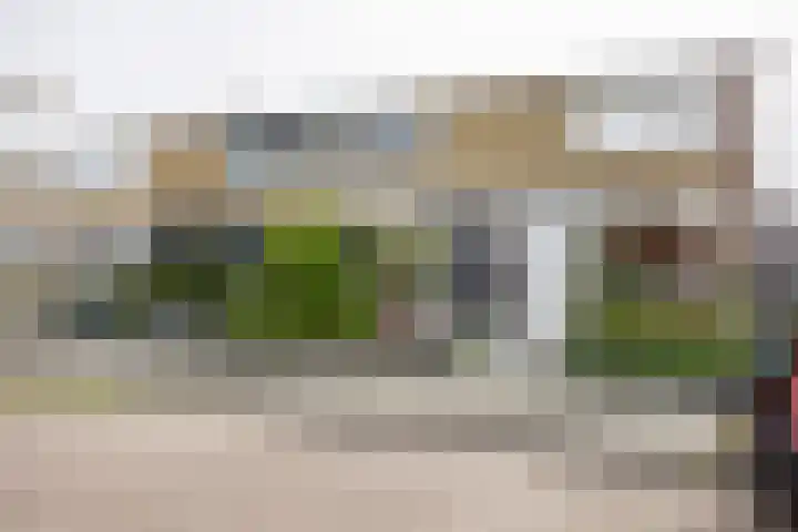 De Vlasakker 44 Bedum thumbnail 6